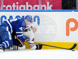 Blackhawks Maple Leafs Hockey