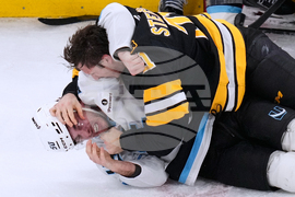 Mammoth Bruins Hockey