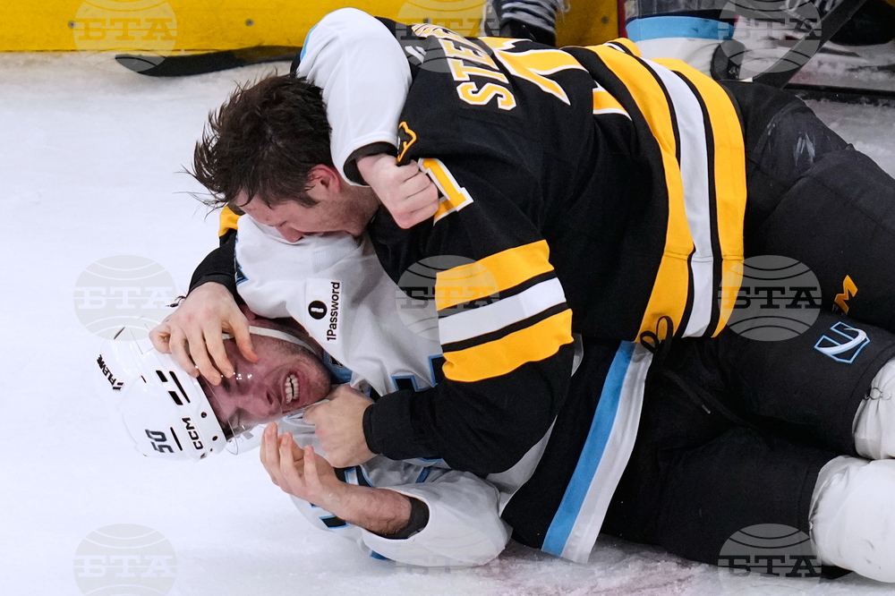 Mammoth Bruins Hockey