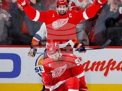 Islanders Red Wings Hockey