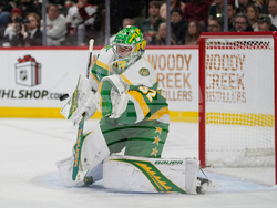 Capitals Wild Hockey