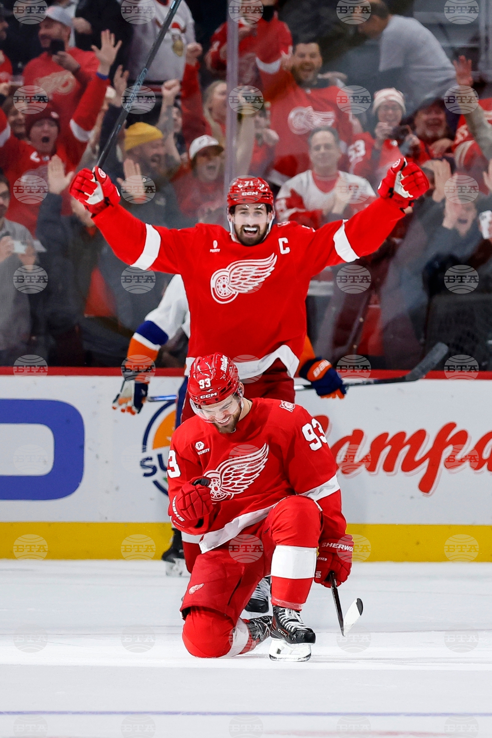 Islanders Red Wings Hockey