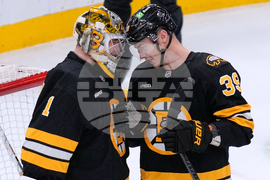 Mammoth Bruins Hockey