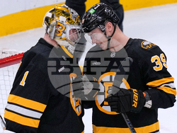 Mammoth Bruins Hockey