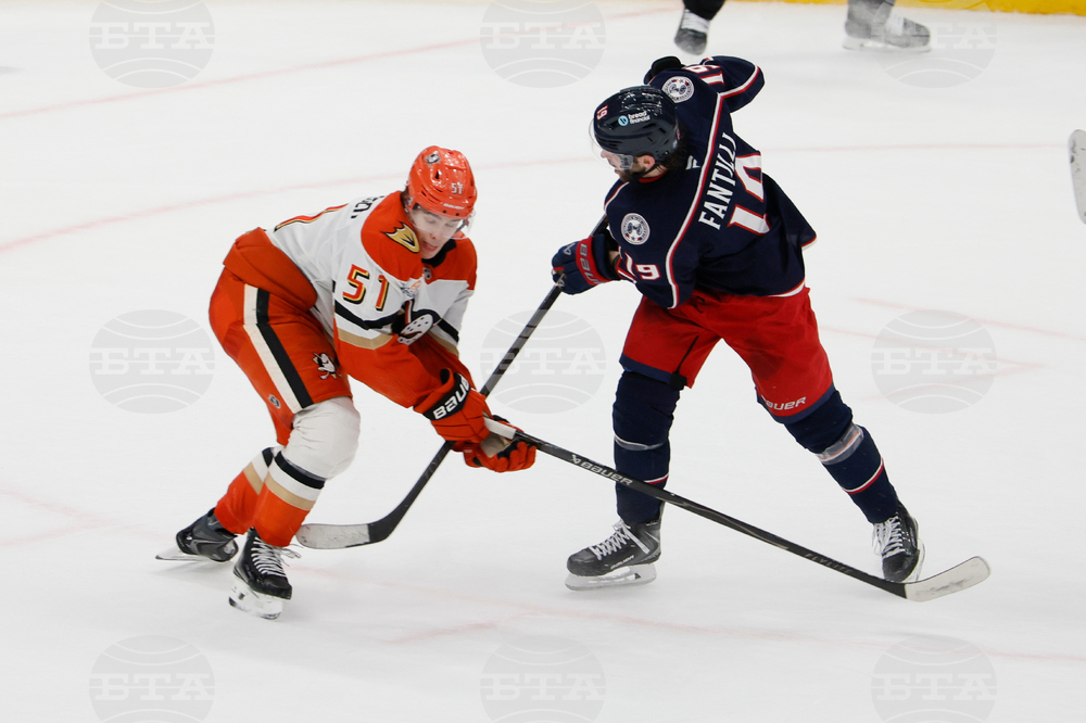 Ducks Blue Jackets Hockey