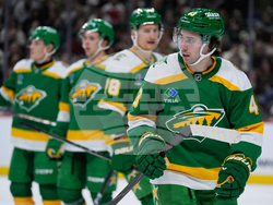 Capitals Wild Hockey