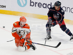 Ducks Blue Jackets Hockey