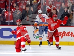 Islanders Red Wings Hockey