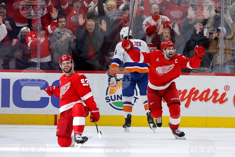 Islanders Red Wings Hockey