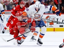 Islanders Red Wings Hockey