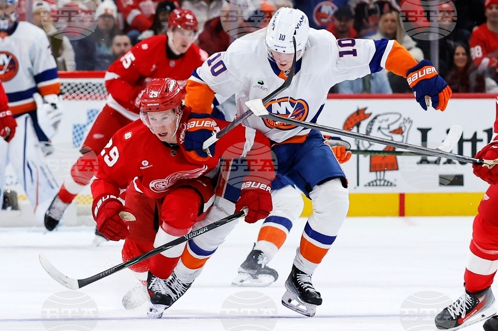 Islanders Red Wings Hockey