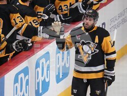 Oilers Penguins Hockey