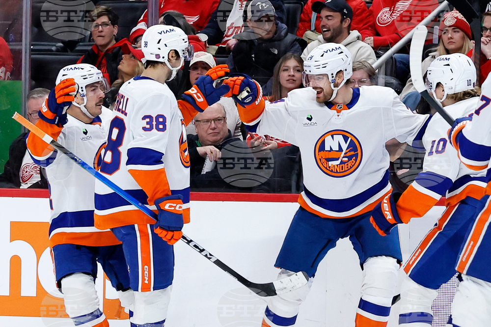 Islanders Red Wings Hockey