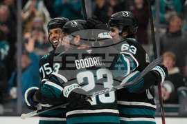 Flames Sharks Hockey