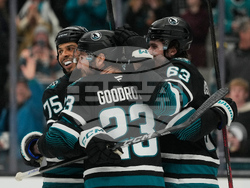 Flames Sharks Hockey