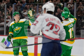 Capitals Wild Hockey