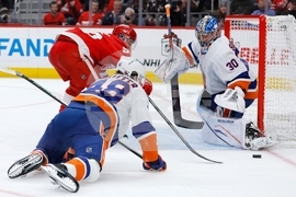 Islanders Red Wings Hockey