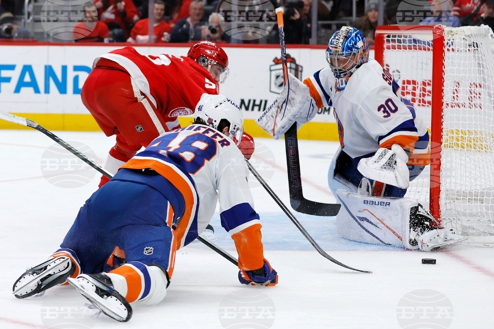 Islanders Red Wings Hockey