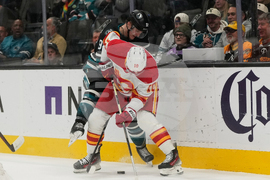 Flames Sharks Hockey