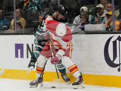 Flames Sharks Hockey