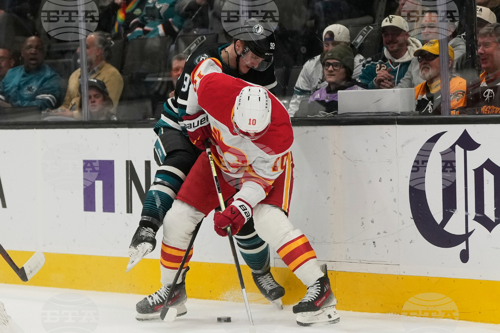 Flames Sharks Hockey