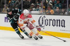Flames Sharks Hockey
