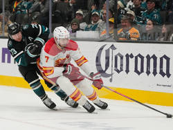 Flames Sharks Hockey