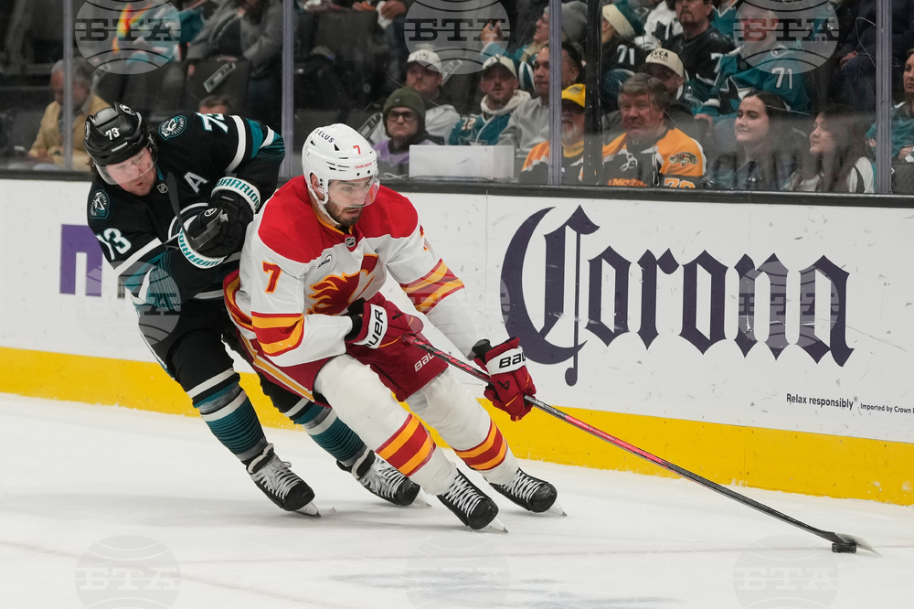 Flames Sharks Hockey