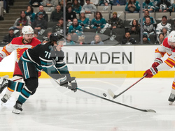 Flames Sharks Hockey