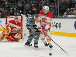 Flames Sharks Hockey