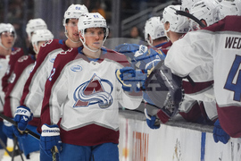 Avalanche Kraken Hockey