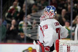 Capitals Wild Hockey