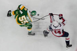 Capitals Wild Hockey