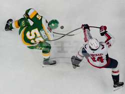 Capitals Wild Hockey