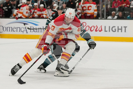 Flames Sharks Hockey