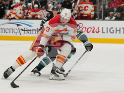 Flames Sharks Hockey