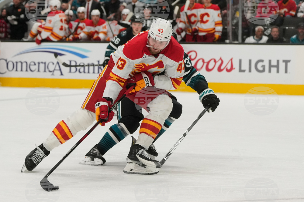 Flames Sharks Hockey
