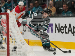 Flames Sharks Hockey