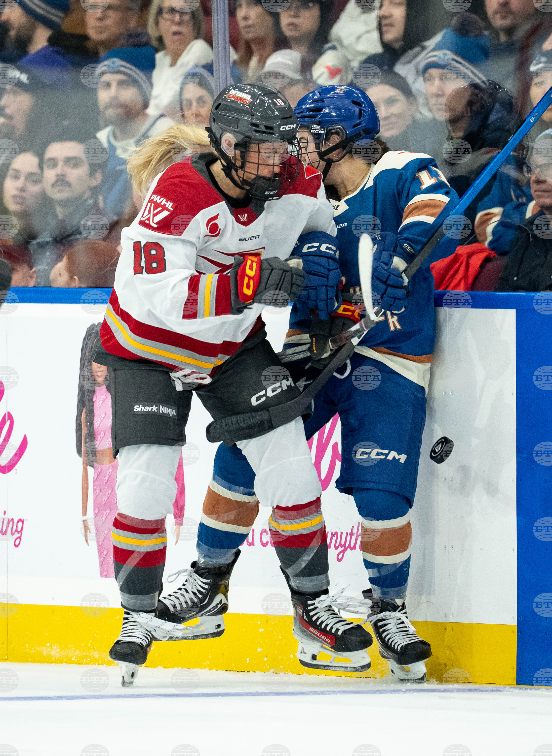 PWHL Charge Goldeneyes Hockey