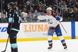 Avalanche Kraken Hockey