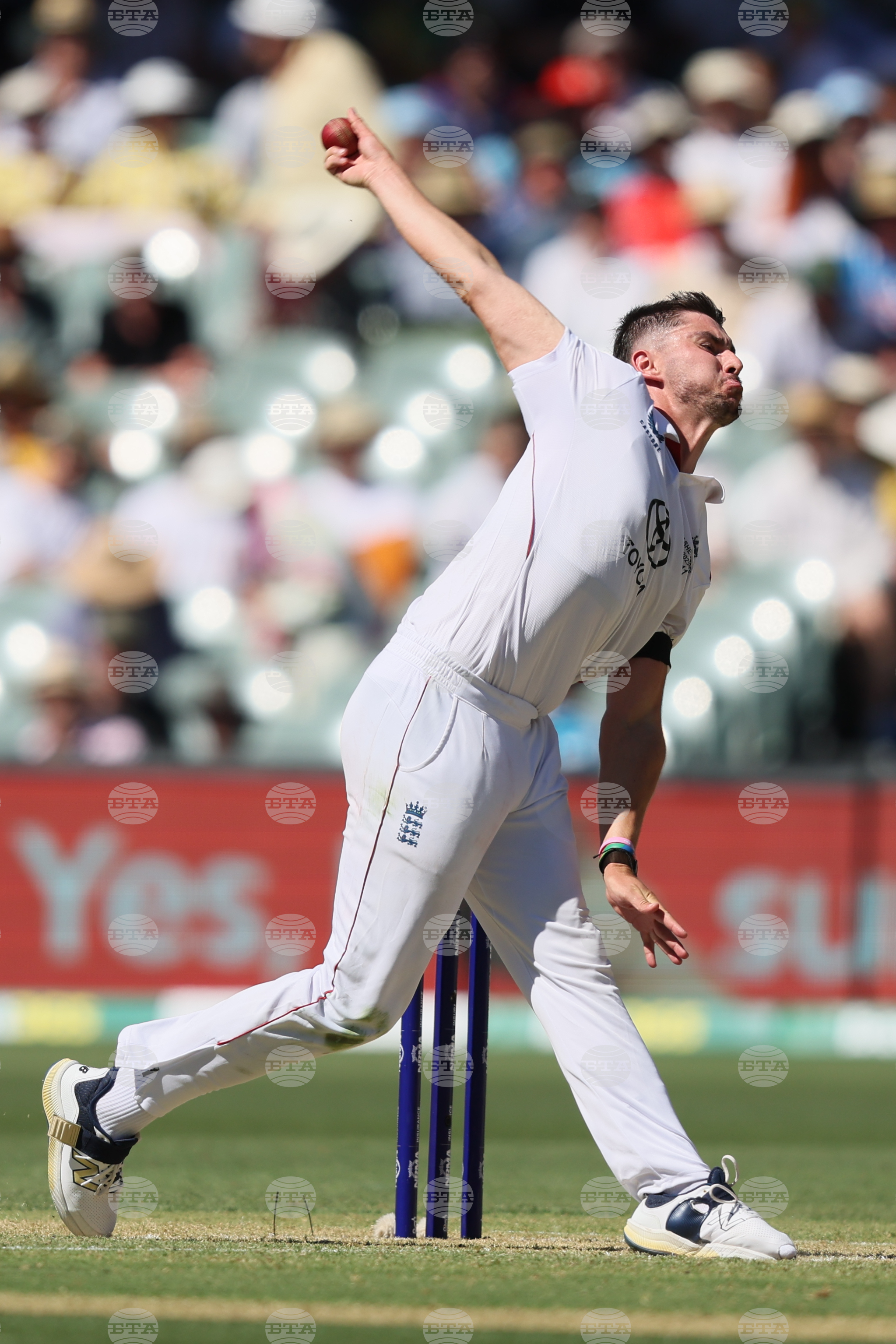 Australia England Cricket