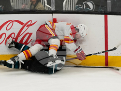 Flames Sharks Hockey