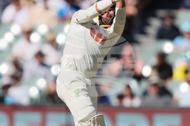 Australia England Cricket