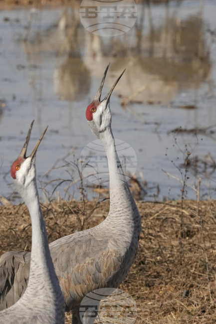 YE Nature-Animals 2025 Photo Gallery