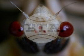 YE Nature-Animals 2025 Photo Gallery