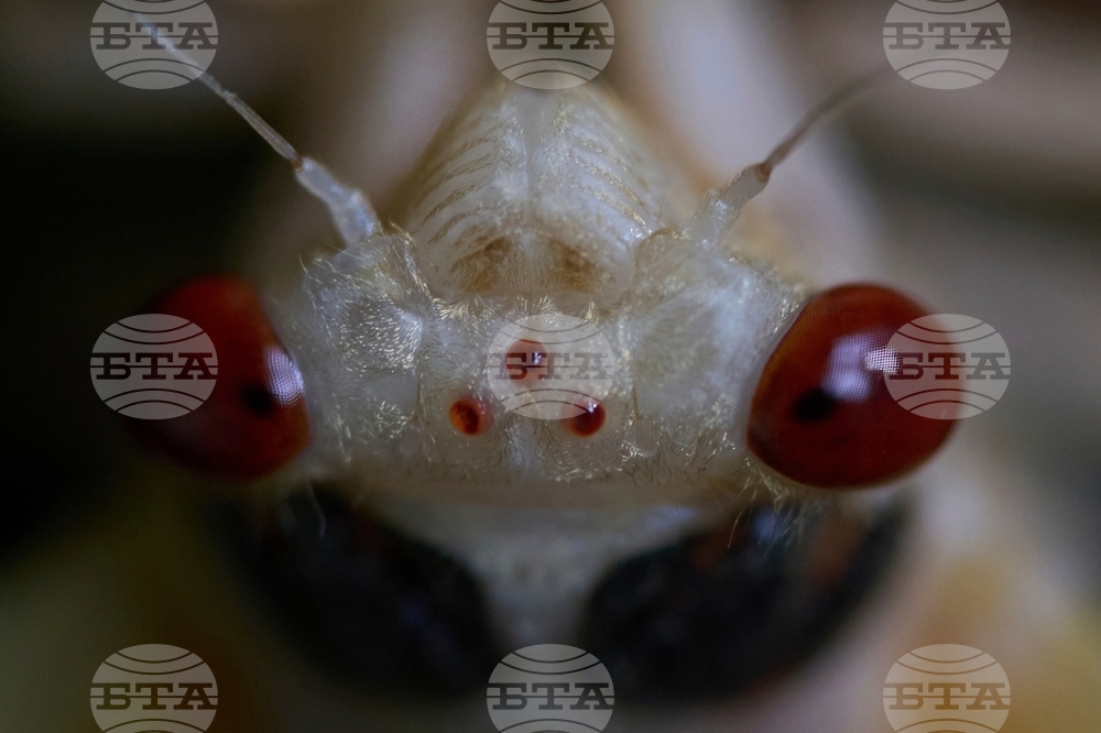 YE Nature-Animals 2025 Photo Gallery