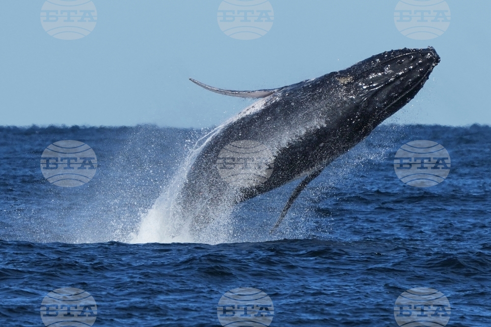 YE Nature-Animals 2025 Photo Gallery