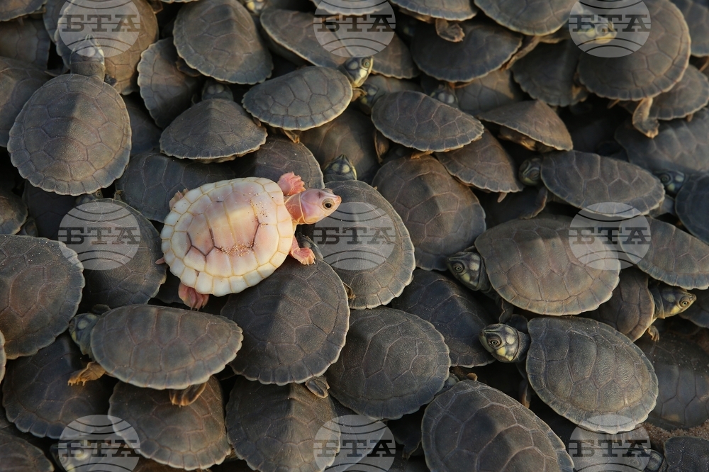 YE Nature-Animals 2025 Photo Gallery