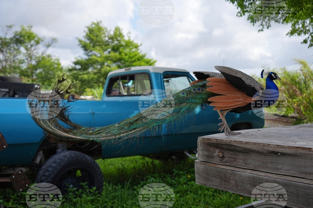 YE Nature-Animals 2025 Photo Gallery