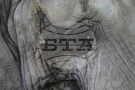 YE Nature-Animals 2025 Photo Gallery